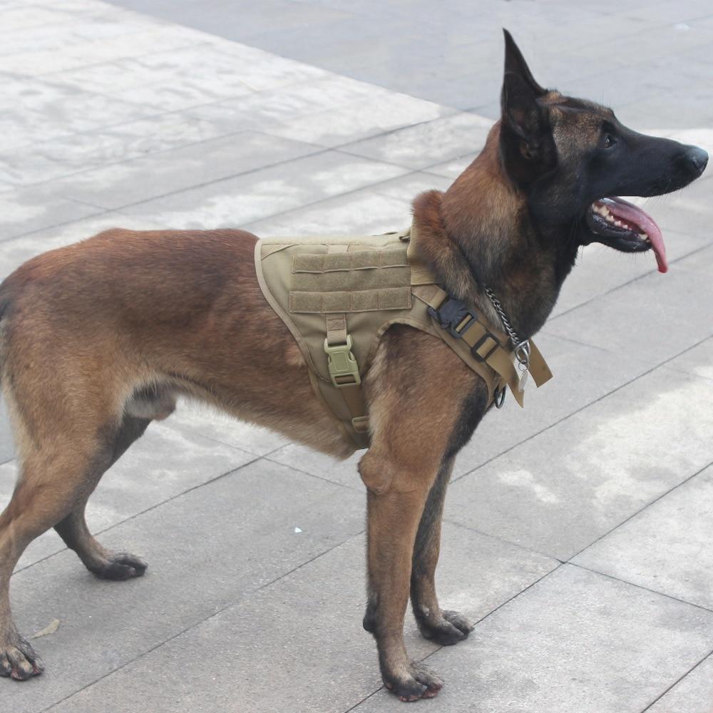 Tactical Supply K9 Field Armor