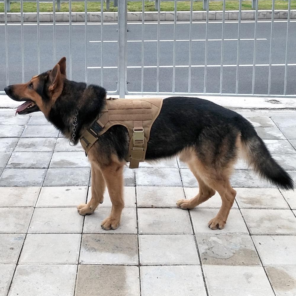 Tactical Supply K9 Field Armor
