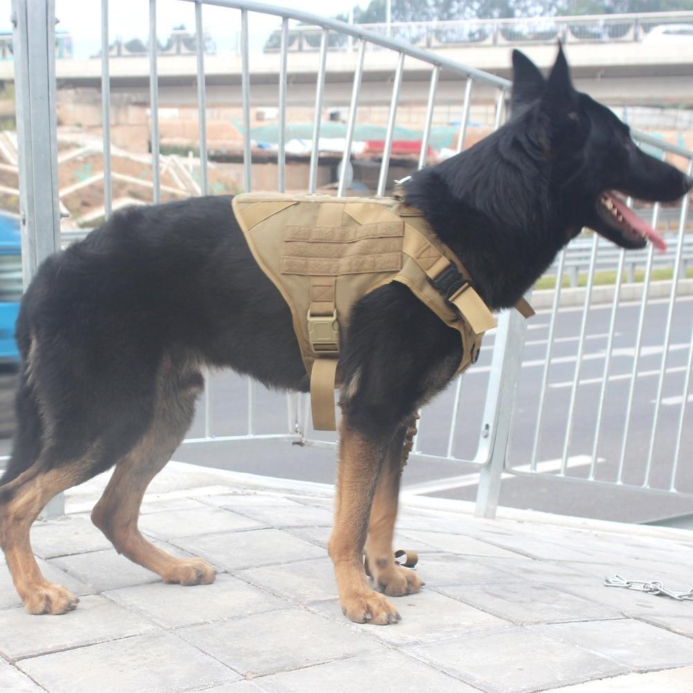 Tactical Supply K9 Field Armor