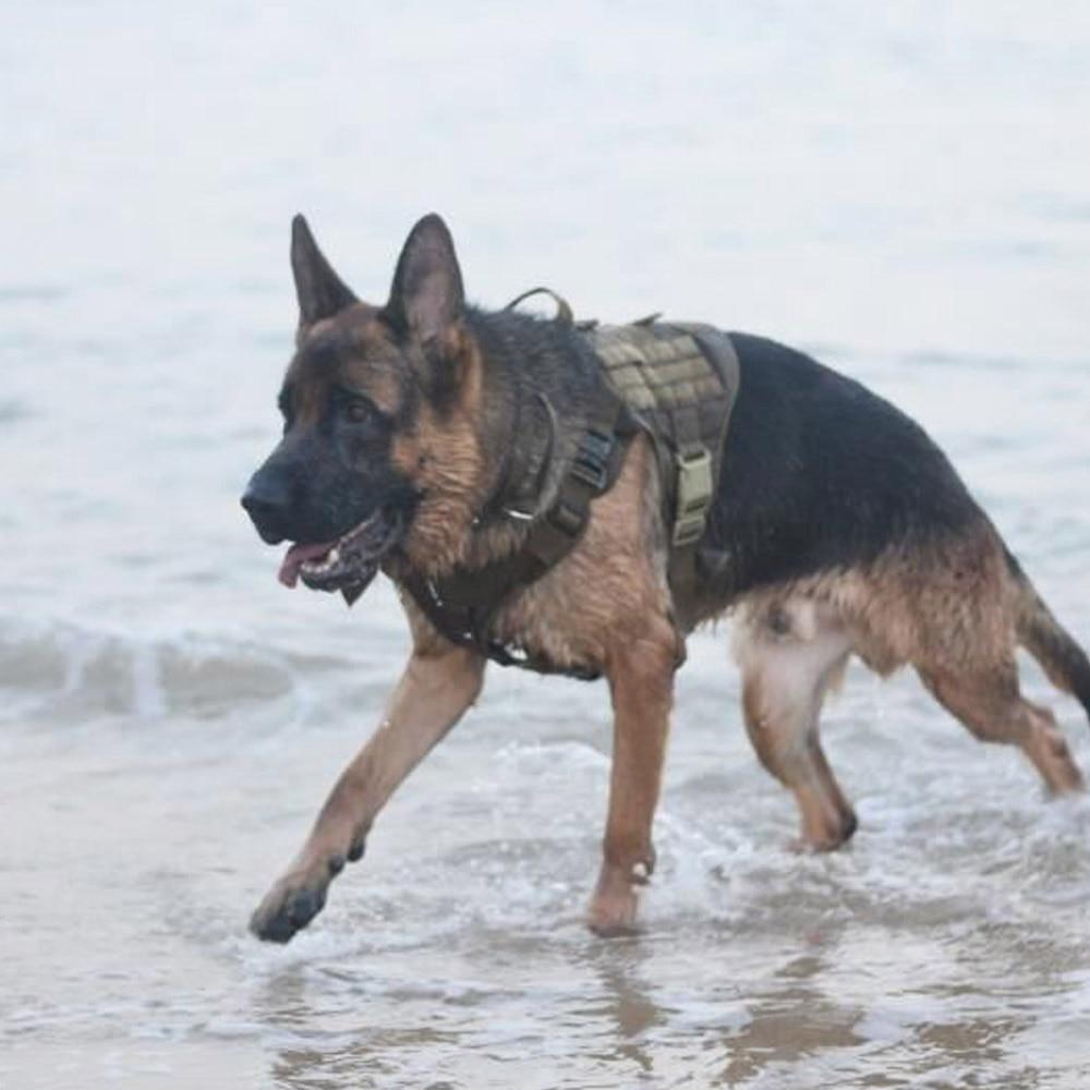 Tactical Supply K9 Field Armor